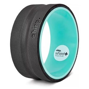 The Chirp Wheel+ size 10"